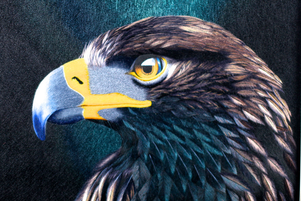 《鹰》心4046框8676 精品刺绣作品   2-4丝绣制  徐祥云女士绣制